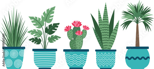 Tropical Indoor Houseplants Collection in Decorative Teal Pots with Cactus Palm and Succulent Vector Illustration White Background