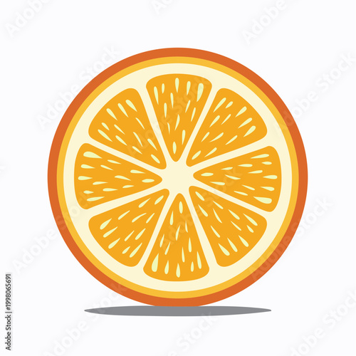 Illustration of a Sliced Orange