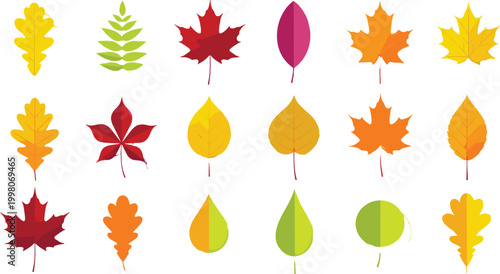 Olive Oil and Olive Products Collection Featuring Bottles, Jars, Cans, and Olive Tree for Food, Cooking, and Mediterranean Designs