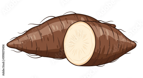 Pair of fresh cassava or yucca roots with one sliced open to reveal the white starchy interior for agricultural and cooking ingredient themes.