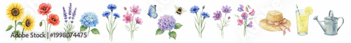 Floral watercolor clipart, wildflowers, garden mood, soft natural seasonal set. Collection of Vector illustrations for invitation, card, poster, banner, decoration
