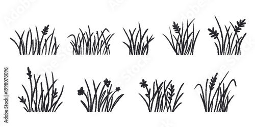 Black silhouette Field grass with flowers. Doodle set of meadow grass bushes, textured effect. Landscaping elements, clip art. Vector graphics