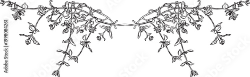 Black and white illustration of flowering vine branches
