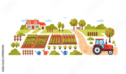 Farm and garden landscape vector with village house tractor trees and vegetable beds flat agriculture illustration