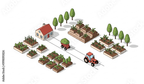 Isometric farm and agriculture vector with garden beds trees tractor and village house modern countryside concept