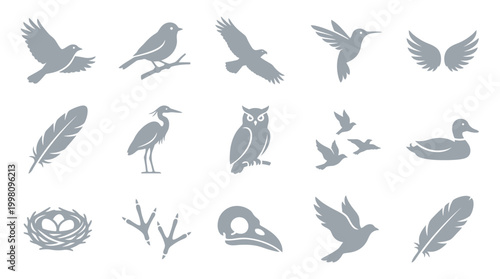 A collection of 15 diverse grey bird-related icons, including various species, feathers, nests, and footprints, presented on a white background.