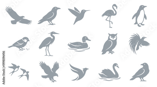 A collection of 15 diverse bird silhouettes, showcasing various species in flight and at rest, rendered in a simple grey graphic style.