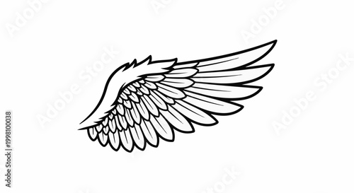 Detailed black and white illustration of a single bird wing
