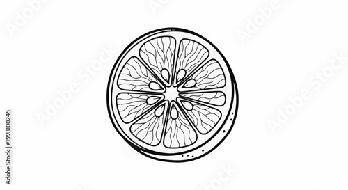 Detailed black and white illustration of a citrus fruit slice with segmented pulp