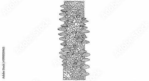 Detailed illustration of shelf fungi growing on a textured tree trunk