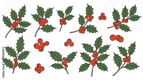 Collection of holly berry branches with green leaves and red berries in various compositions for holiday decoration.