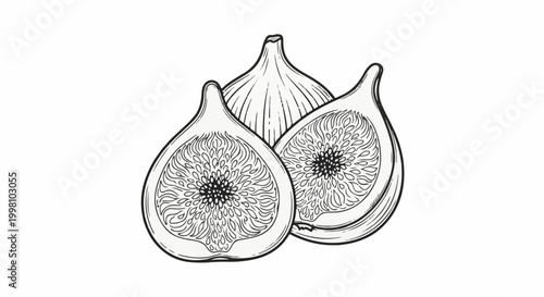 Detailed line drawing of three fresh figs, two halved revealing seeds and pulp