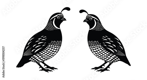 Two quail birds facing each other black silhouette