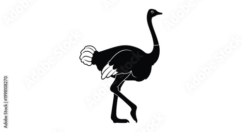 Ostrich silhouette against a white background silhouette