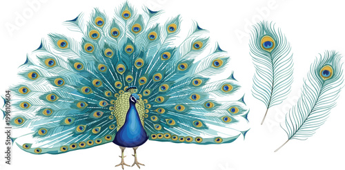 Detailed Vector Illustration of a Majestic Peacock with Open Tail Feathers and Individual Feather Elements for Elegant Branding, Fashion, and Luxury Floral Design Projects
