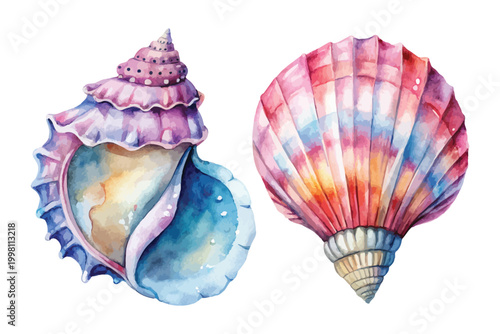 Watercolor Sea Shell Clipart, Beach Ocean Treasure Illustration, Isolated on White