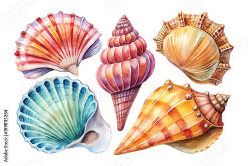 set of Watercolor Seashell Icon, Ocean Treasure Clipart, vector illustration Isolated on White background