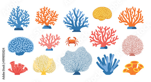 Various colorful coral reef species and a small red crab are arranged in a flat vector illustration style against a clean white background for marine biology projects.