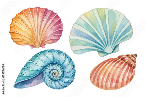set of Watercolor Seashell Icon, Ocean Treasure Clipart, Isolated on White background