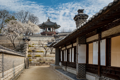 고궁의 봄