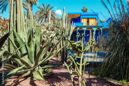 Majorelle Garden in Marrakech, Morocco