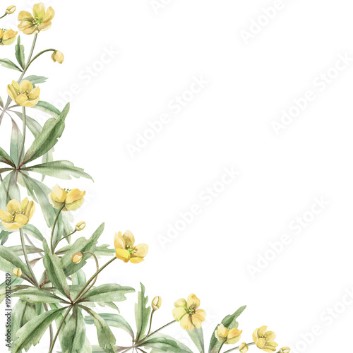 Tableau sur toile A corner frame of wild yellow forest flowers