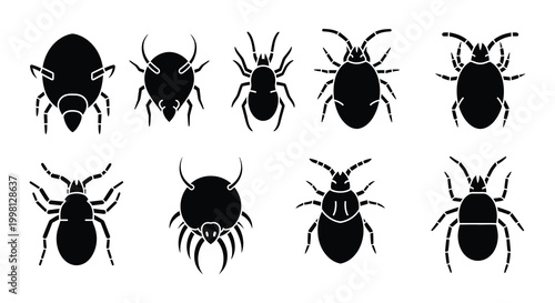 Black spider silhouettes collection vector illustration on white background