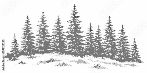 Tableau sur toile Pine trees silhouette on white background detailed forest illustration