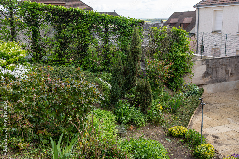 Fototapeta premium Jardin résidentiel luxuriant avec haie de plantes grimpantes, arbustes variés et terrasse en dalles claires pour un aménagement paysager paisible et moderne.