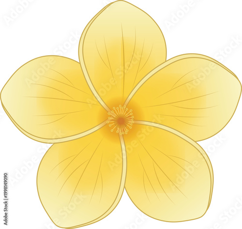 Yellow Plumeria Flower Blossom Decorative Design