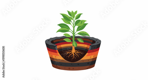 Illustration of plant growth with layered soil and visible root system