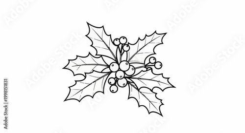 Hand-drawn outline of holly leaves with berries