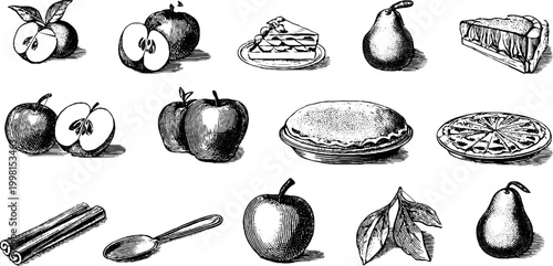 Vintage engraved fruit clipart sheet of apples pears slices and kitchen elements for label and background design