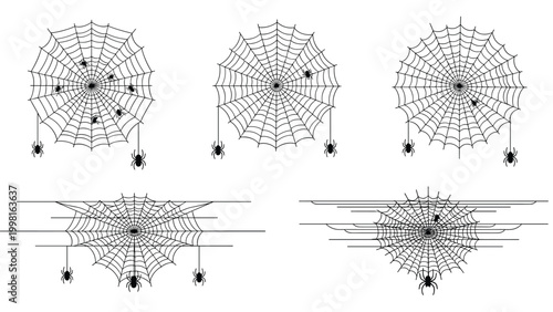 Detailed spider web illustrations with several black spiders moving across the intricate silk threads on a white background.