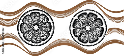 Citrus fruit slice silhouette vector set, black white clipart of orange lemon abstract wave design, food illustration artwork bundle