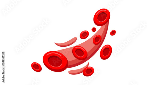 Red blood cells flowing in blood vessel, erythrocytes circulation medical vector illustration