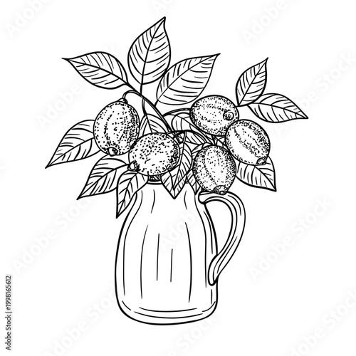 Lemons with leaves arranged in a decorative glass pitcher vase. Hand-drawn sketch style composition. Home decor, kitchen, food, culinary topics