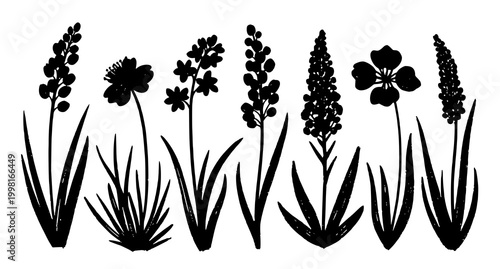 Botanical illustration a collection of black and white wildflower silhouettes