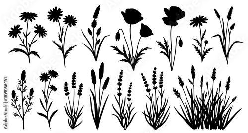 Black silhouette floral collection wildflowers grasses and botanical elements