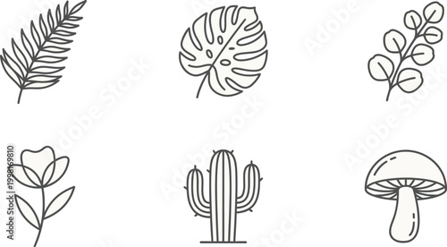 A charming collection of simple line art botanical elements and a mushroom.