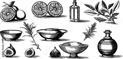 Vintage engraved citrus slices figs bowls olive oil bottle and herbs botanical sheet for kitchen label background and culinary design