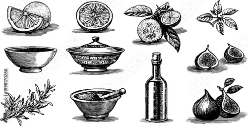 Vintage engraved citrus fruits olive oil bottle mortar and herbs collection for kitchen label background and culinary decoration design