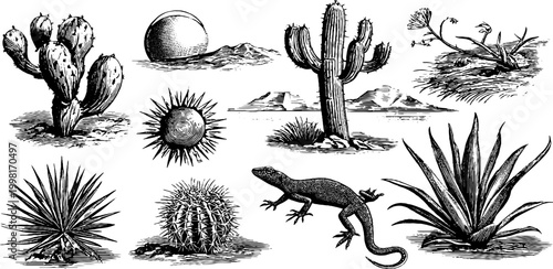 Vintage engraved desert clipart sheet with cacti sun dune agave lizard and spiky plants for banner background and design elements