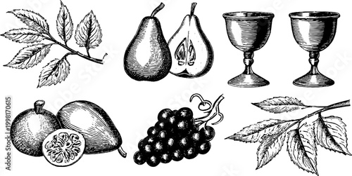 Vintage engraved botanical fruit and goblet clipart sheet with pears figs grapes leaves and branches for design elements and background