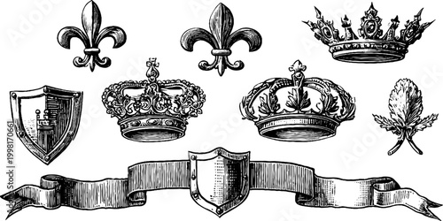 Vintage engraved heraldic decorative banner and emblem elements with crowns shields ribbons and lilies for ornate background and crest design