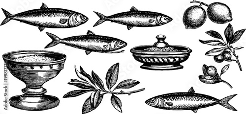 Vintage engraved mediterranean sardines olives bowls and branches sheet for background and packaging design with ornamental seafood elements