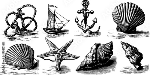 Vintage engraved nautical shells and marine border sheet with anchor rope starfish and scallop for retro background and design elements