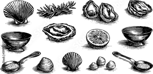 Vintage engraved oyster shells and lemon wedge clipart sheet with bowls spoons and coastal elements for menu background and label design