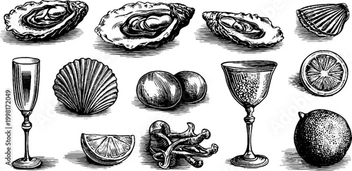 Vintage engraved oyster and pearl clipart sheet with shells citrus glassware and spices for packaging and label design