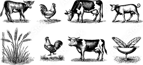 Vintage engraved farm animals clipart sheet with roosters hens cows wheat and bowl for rustic background and pattern design